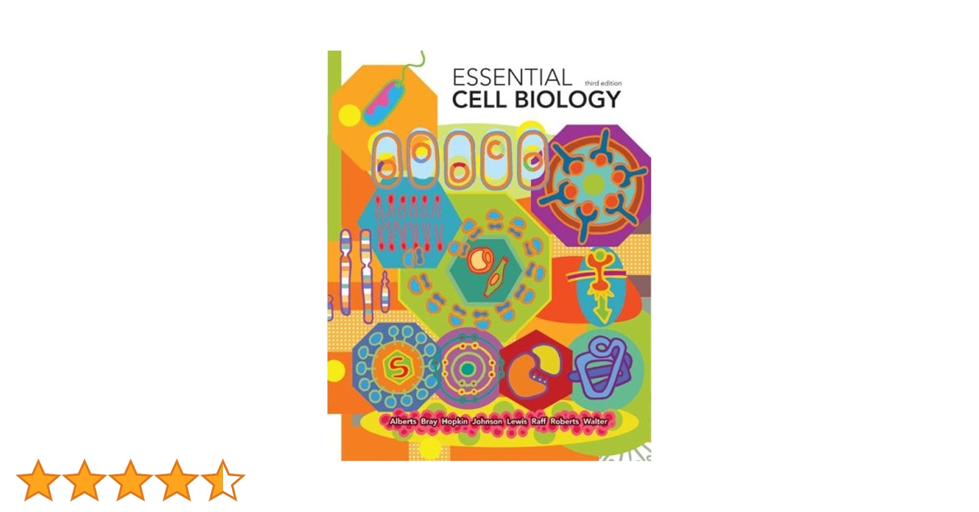 洋書 Essential Cell Biology Sixth Edition Essential Cell Biology―6th International Student Edition